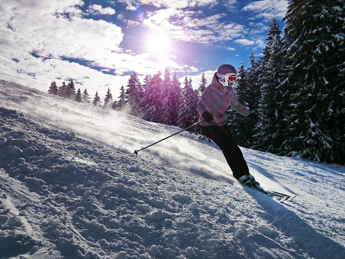 Mountainlodge Am Oetscher Lackenhof Kültér fotó